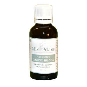 ginkgo mémoire, alzheimer, cerveau,