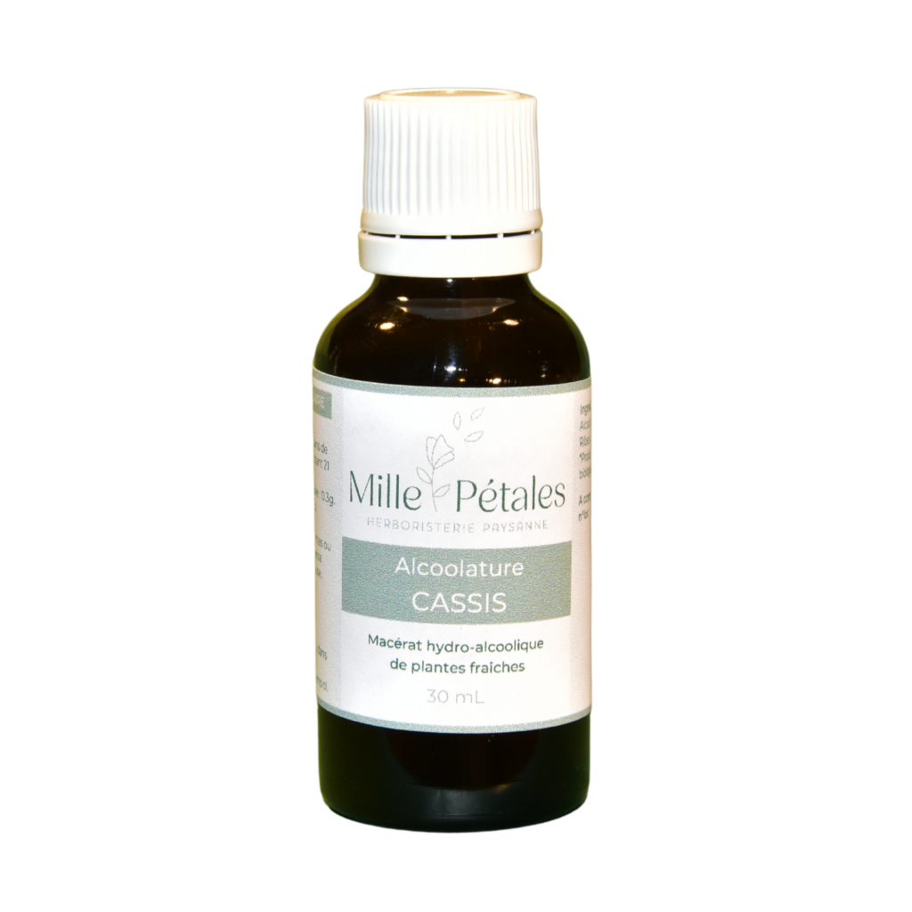cassis rhumatismes, arthrose, arthrite, veines, perte poids, circulation sanguine, stress