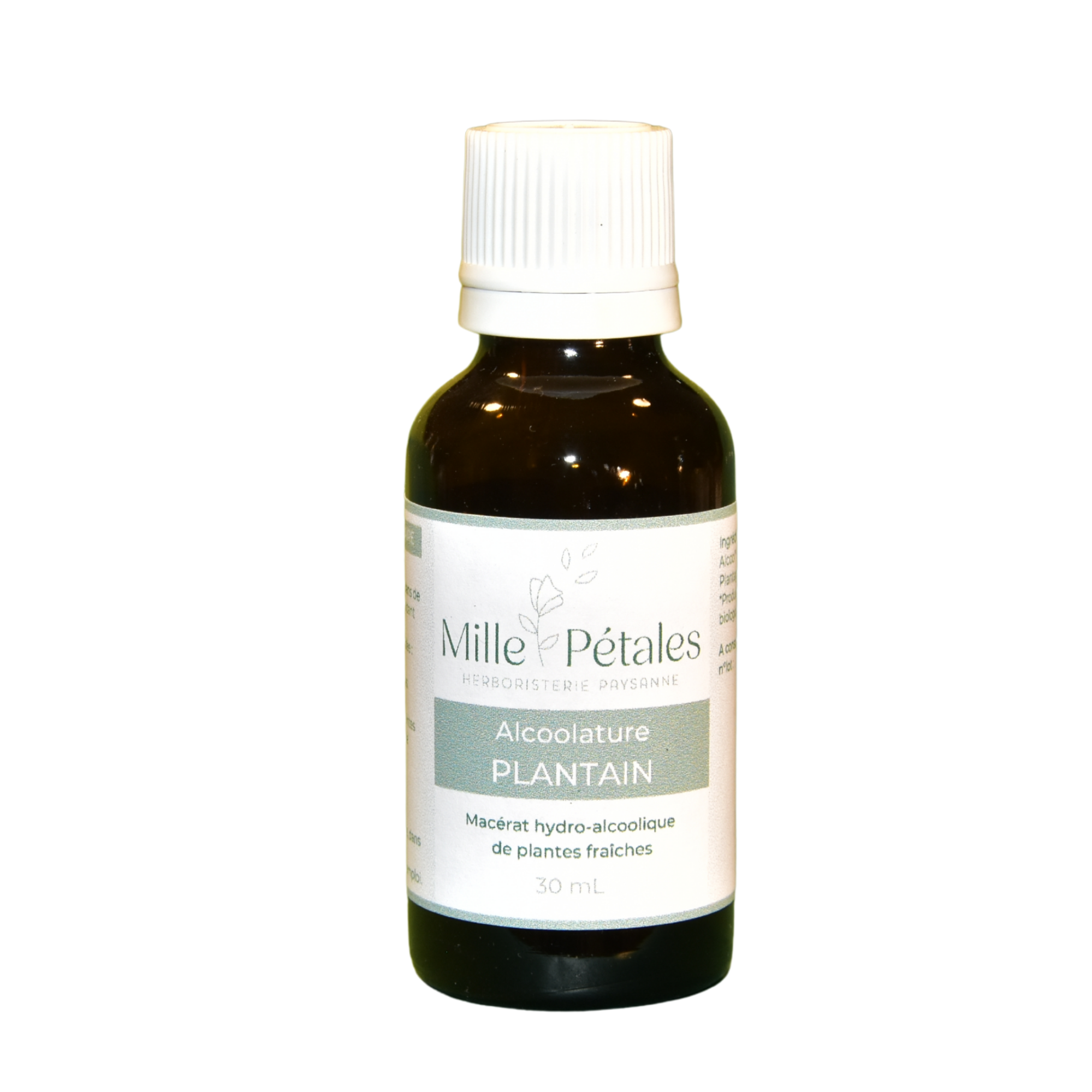 plantain, allergies saisonnières, rhume des foins