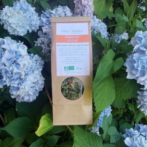 Tisane froide