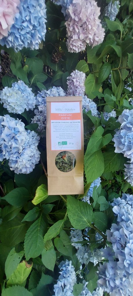 Tisane froide